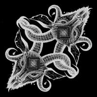 Alien Placenta / Columbo (Split) - LP (4250137203980)