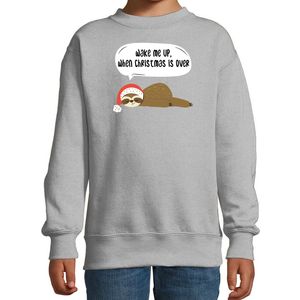 Luiaard Kerstsweater / outfit Wake me up when christmas is over grijs voor kinderen