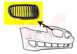 Radiateurgrille VAN WEZEL, Inbouwplaats: rechts: , u.a. für BMW