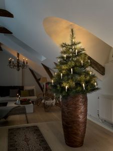 Konstsmide 2038-010 Kerstboomverlichting Binnen werkt op het lichtnet Aantal lampen 25 LED Warmwit Verlichte lengte: 9.6 m