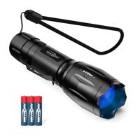 ANSMANN zaklamp, UV-lamp, LED-licht, 400nm, traploze focus, 4 lichtstanden, voor het controleren van reinheid, amber zoeken, aas zoeken bij het vissen