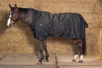 Harry's Horse Outdoordeken Thor 200 Highneck