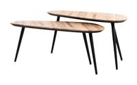 Light & Living Salontafel Viejo Hout en metaal, Set van 2 stuks - Bruin - Organisch