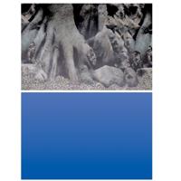 SuperFish 2-zijdige Deco Poster D4