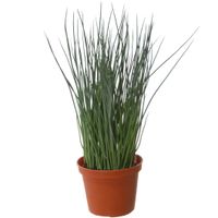 Groene grasplant Pennisetum kunstplant in bruine kunststof pot 29 cm - thumbnail