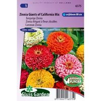 Zinnia Elegans zaden Giants of California mix - thumbnail