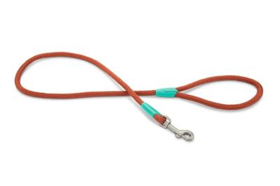 Beeztees Nikra - Hondenriem - Lichtbruin - 100 cm x10 mm