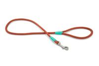 Beeztees Nikra - Hondenriem - Lichtbruin - 100 cm x10 mm