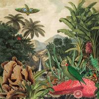 Imaginary Island Musi Vol. 1: Canary Islands - LP (5055869562614)