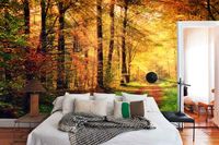 Vlies fotobehang Bos in herfstkleuren