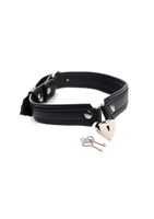 Locking Heart Collar