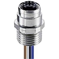 Lumberg Automation 108774 Sensor-/Aktor-Steckverbinder, konfektioniert M12 Buchse, Einbau 0.50m Polz
