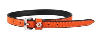 QHP Sporenriempjes Callisto