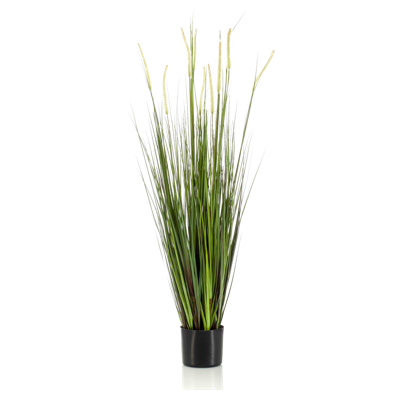 Wants&Needs Plants Kunstplant Alopecurus Grass Wants&Needs Plants Kunstplant Alopecurus Grass