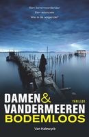 Bodemloos - Damen & Vandermeeren - ebook - thumbnail