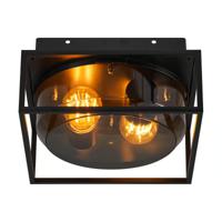 Plafondlamp zwart industrieel met E27 fitting en smokeglas 'Griffin'