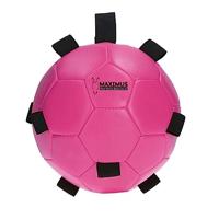 Maximus Fun Play Ball Pink