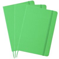 Set van 3x stuks luxe schriftjes/notitieboekjes groen met elastiek A5 formaat