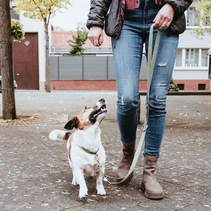 Hunter Inari 2 m Groen Katoen Hond Trainriem