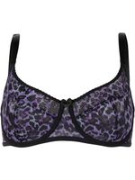 Marlies Dekkers soutien-gorge Peekaboo à imprimé léopard - Violet