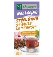Damhert Damhert Tea Time Stoelgang (20st)