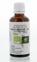 Natura Sanat Angelica officinalis/engelwortel tinctuur bio (50 ml)