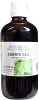 Natura Sanat Ribes nigrum / zwarte bes tinctuur bio (100 ml) - thumbnail