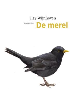 De merel - Hay Wijnhoven - eBook (9789045033969)