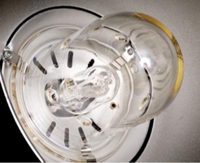 Falcon Eyes 292153 flitseraccessoire voor fotostudio Lamp