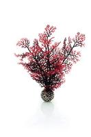 biOrb Aquatische aquariumdecoratie, aquariumplant (klein - karmozijnrood) met verzwaarde bal, 1 x aquariumplant, aquariumplanten om kleur toe te voegen, natuurlijk ogende aquariumdecoratie voor