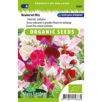 Lathyrus Odoratus zaden Reukerwt mix BIO - thumbnail