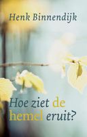 Hoe ziet de hemel eruit? - Henk Binnendijk - ebook