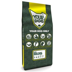 Yourdog Franse bulldog senior