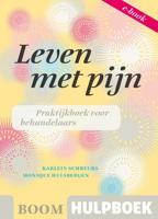 Leven met pijn - Karlein Schreurs, Monique Hulsbergen - eBook (9789461055545)