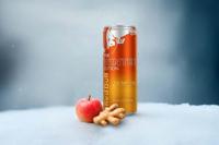 Red Bull Winter Appel Gember 12-pack