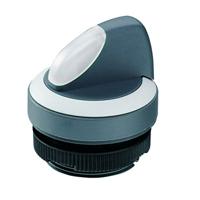 RAFI 1.30.272.302/2200 RAFIX 22 FS+ Verlichte druktoets 2 x 60 ° 1 stuk(s)