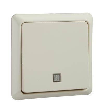 Schneider Electric 252130 lichtschakelaar Thermoplastic