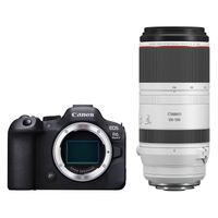 Canon EOS R6 Mark II systeemcamera + RF 100-500mm f/4.5-7.1L IS USM - thumbnail