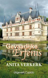 Gevaarlijke erfenis - Anita Verkerk - ebook