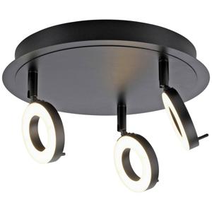 Paul Neuhaus 6788-13 SILEDA LED-plafondlamp LED 19.2 W Antraciet