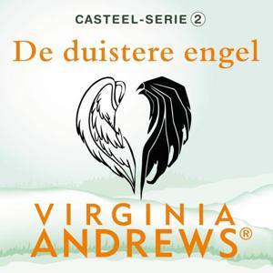 De duistere engel