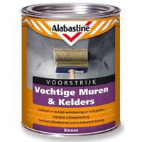 Alabastine Voorst Vochtige Muren En Keld 1L 6025801 - 5096053 - 5096053 - thumbnail