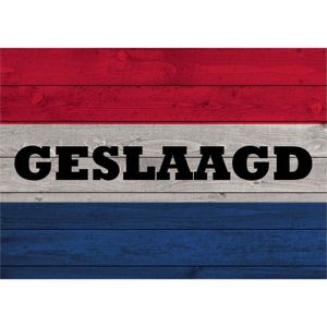 Vintage geslaagd / afgestudeerd poster 84 x 59 cm