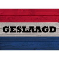 Vintage geslaagd / afgestudeerd poster 84 x 59 cm