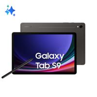 Samsung Galaxy Tab S9 SM-X710N Qualcomm Snapdragon 128 GB 27,9 cm (11") 8 GB Wi-Fi 6 (802.11ax) Android 13 Grafiet