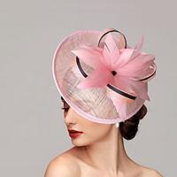 fascinators Veren Netto Schotel Hoed Bruiloft Paardenrace Damesdag Melbourne Cup Met Veer Pet Helm Hoofddeksels Lightinthebox