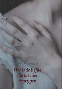 Het is de liefde die we niet begrijpen - Bart Moeyaert - ebook