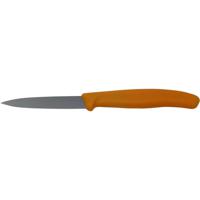 Victorinox 6.7606.L119 Groentemes Oranje