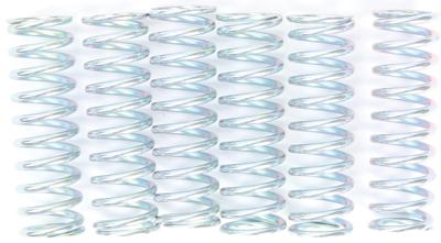 TRW koppelingsveren set clutch spring kit mef117-6