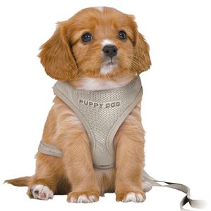 TRIXIE HONDENTUIG JUNIOR PUPPY SOFTTUIG MET RIEM LICHTGRIJS 36-50X1 CM / 2 MTR